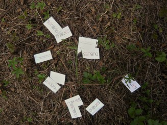 éparpillements d'oublies cartes