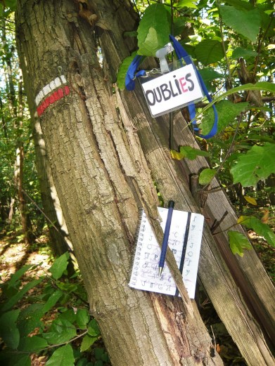 les oublies grimpent aux arbres