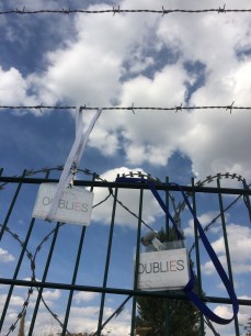 Les papillons d'oubliEs sur les barbelés