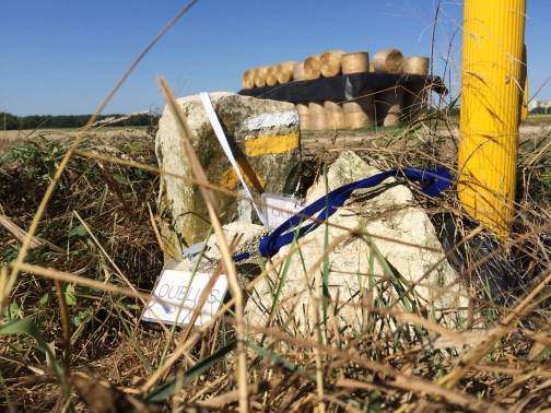balises-jaunes-et-foin-2