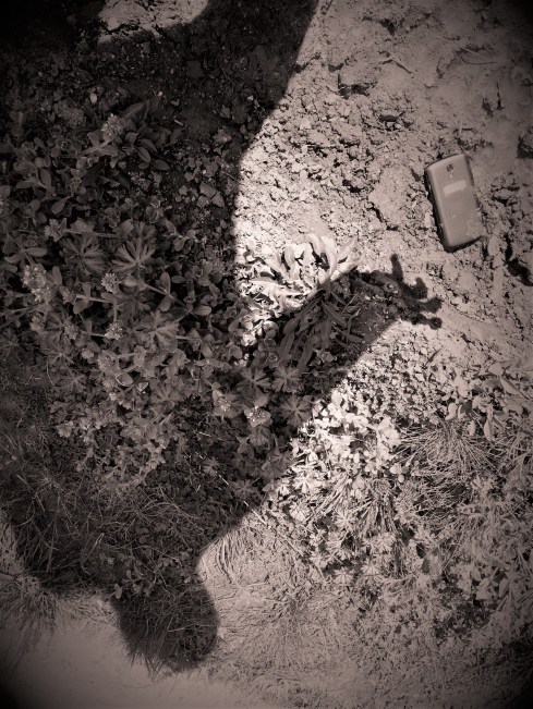 le-lien-rompu-4-ombre