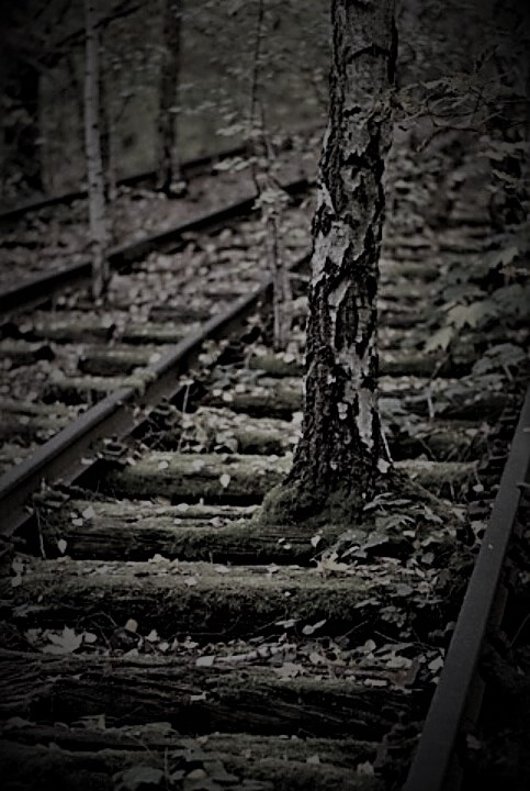 les déraillés du dada