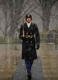 sentinel-tomb-of-unknown-soldier-guard-government-photo-54190